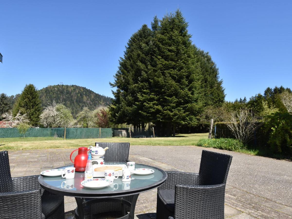 Spacious Holiday Home With Sauna In Celles Sur Plaine Eguisheim Quarto foto