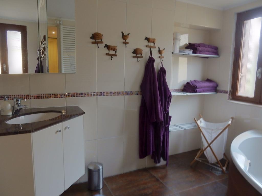 Spacious Holiday Home With Sauna In Celles Sur Plaine Eguisheim Exterior foto